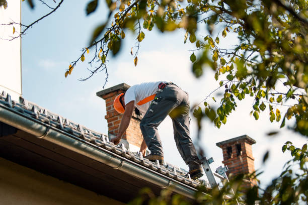 Best Metal Roofing Contractor  in Los Altos Hills, CA